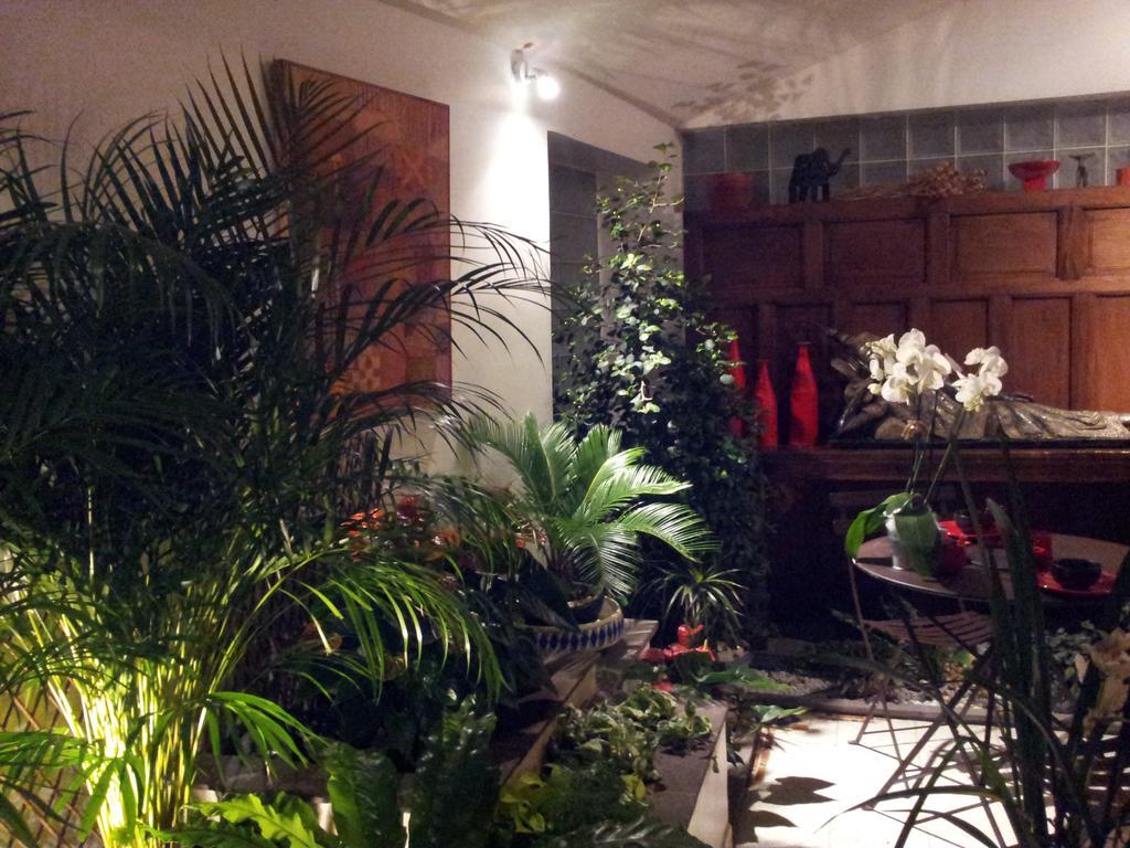 Chambres D'Hotes Le Petit Siam : Le Calme En Centre Ville Клермон-Ферран Экстерьер фото
