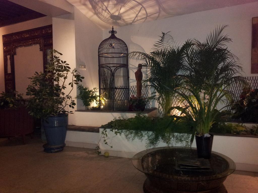 Chambres D'Hotes Le Petit Siam : Le Calme En Centre Ville Клермон-Ферран Экстерьер фото